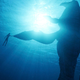 a navi with a whale